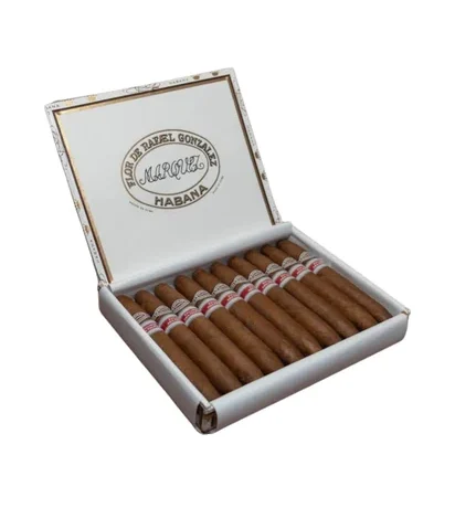 RAFAEL GONZALEZ 88 CIGAR (EX. ASIA PACIFICO 2016) – Box of 10