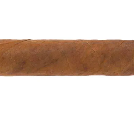 Buy Buy La Flor de Cano Diademas Regional Edition Asia Pacifico 2023